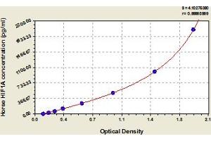 ELISA image for Hypoxia Inducible Factor 1, alpha Subunit (Basic Helix-Loop-Helix Transcription Factor) (HIF1A) ELISA Kit (ABIN6975529)