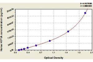 Typical Standard Curve (HIF1A ELISA 试剂盒)