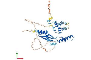 AlphaFold protein structure predicition of Human Recombinant DEDD2 Protein, UniprotID Q8WXF8