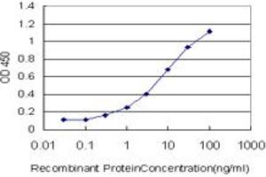 Detection limit for recombinant GST tagged NRP2 is approximately 0. (NRP2 抗体  (AA 621-715))