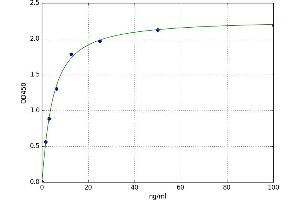 A typical standard curve (PDGF-AB Heterodimer ELISA 试剂盒)