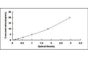 ELISA image for Nitric Oxide Synthase 2, Inducible (NOS2) ELISA Kit (ABIN6574224)