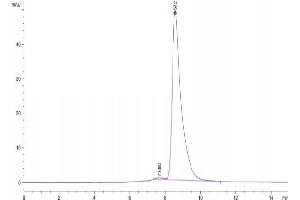 The purity of Rhesus macaque HLA-G is greater than 95 % as determined by SEC-HPLC. (HLAG Protein (AA 25-305, Monomer) (His-Avi Tag,Peptide (RIIPRHLQL)))