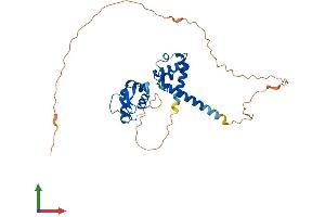 Protein Structure (PS) image for Proximal Sequence Element 1 (SPDEF) (AA 1-335) protein (His tag) (ABIN7546304)
