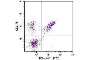 Chicken peripheral blood lymphocytes were stained with Mouse Anti-Chicken TCRαβ/Vβ1-FITC. (TCRab/Vb1 抗体 (FITC))