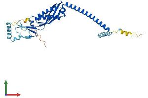 Protein Structure (PS) image for Stomatin (STOM) (AA 1-288) protein (His tag) (ABIN7546373)