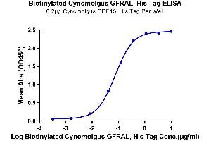 Immobilized Cynomolgus GDF15, His Tag at 2 μg/mL (100 μL/well) on the plate. (GFRAL Protein (AA 20-351) (His-Avi Tag,Biotin))