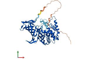 AlphaFold protein structure predicition of Human Recombinant NPEPPSL1 Protein, UniprotID A6NEC2 (NPEPPSL1 (AA 1-478) protein (His tag))
