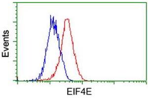 Flow Cytometry (FACS) image for anti-Eukaryotic Translation Initiation Factor 4E (EIF4E) antibody (ABIN1497984) (EIF4E 抗体)