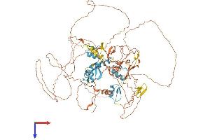 PRDM4 Protein (AA 1-801) (His tag)