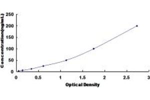 Typical standard curve (CA2 ELISA 试剂盒)