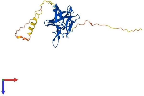 FGF14 Protein (AA 1-247) (His tag)