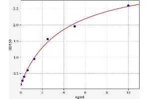 Typical standard curve (TMEM132D ELISA 试剂盒)