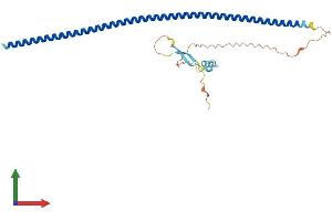 AlphaFold protein structure predicition of Human Recombinant KRT222 Protein, UniprotID Q8N1A0 (KRT222 Protein (AA 1-295) (His tag))