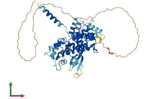 Protein Structure (PS) image for Mitochondrial Calcium Uptake 1 (MICU1) (AA 1-477) protein (His tag) (ABIN7564737)