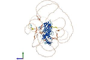 Protein Structure (PS) image for Tyrosine-Protein Phosphatase Non-Receptor Type 22 (PTPN22) (AA 1-807) protein (His tag) (ABIN7555095)