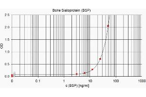 ELISA standard curve showing measurement of human BSP in a sandwich immunoassay using ABIN2753226 as capture antibody and ABIN2753226 as detection antibody. (CD BSP (Tumor BSP) (AA 108-122) 抗体)