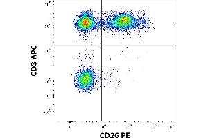 Flow cytometry multicolor surface staining of human lymphocytes stained using anti-human CD26 (BA5b) PE antibody (20 μL reagent / 100 μL of peripheral whole blood) and anti-human CD3 (UCHT1) APC antibody (10 μL reagent per milion cells in 100 μL of cell suspension). (DPP4 抗体  (PE))
