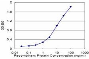 Detection limit for recombinant GST tagged ACTL6A is approximately 0. (BAF53A 抗体  (AA 1-80))