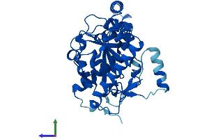 AlphaFold protein structure predicition of Mouse Recombinant Mogat2 Protein, UniprotID Q80W94
