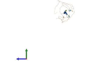 AlphaFold protein structure predicition of Human Recombinant TXLNB Protein, UniprotID Q8N3L3