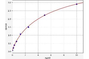 Typical standard curve (ADAM12 ELISA 试剂盒)