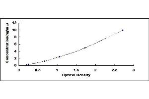 Typical standard curve (SEC24C ELISA 试剂盒)