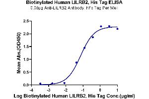 Leukocyte Immunoglobulin-Like Receptor, Subfamily B (With TM and ITIM Domains), Member 2 (LILRB2) (AA 22-458) protein (His-Avi Tag,Biotin)