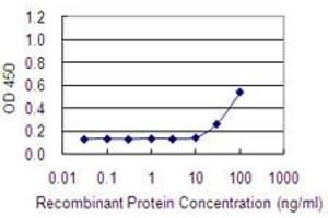 Detection limit for recombinant GST tagged ADCK1 is 10 ng/ml as a capture antibody. (ADCK1 抗体  (AA 1-100))