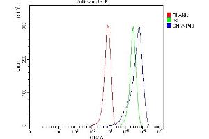 Flow Cytometry analysis of 293T cells using anti-SNRNP40 antibody (ABIN7601719). (SNRNP40 抗体  (AA 43-357))
