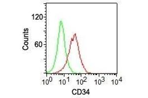 Flow cytometry of KG-1 cells using CD34 Monoclonal Antibody (ICO-115) (red) and isotype control Ab (green). (CD34 抗体  (PE))