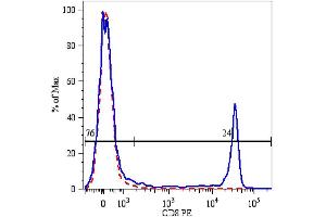 Surface staining of human peripheral blood lymphocytes using anti-human CD8 (CD8 抗体  (FITC))