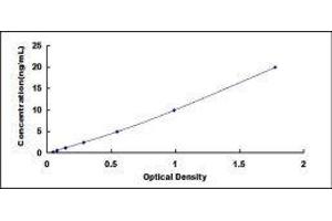 Typical standard curve (COL10 ELISA 试剂盒)