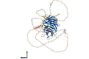 Protein Structure (PS) image for Denticleless E3 Ubiquitin Protein Ligase Homolog (DTL) (AA 1-729) protein (His tag) (ABIN7563673)
