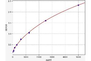 ABCC6 ELISA 试剂盒