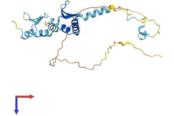 SURF2 Protein (AA 1-256) (His tag)