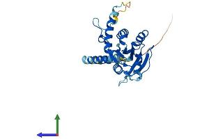 Protein Structure (PS) image for Signal Recognition Particle Receptor, B Subunit (SRPRB) (AA 1-271) protein (His tag) (ABIN7546441)