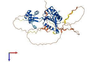 AlphaFold protein structure predicition of Human Recombinant FAM83A Protein, UniprotID Q86UY5 (FAM83A Protein (AA 1-434) (His tag))