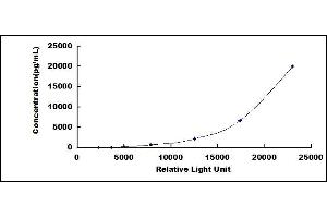 Typical standard curve