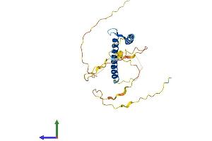 Protein Structure (PS) image for Basic Helix-Loop-Helix Family, Member A9 (BHLHA9) (AA 1-231) protein (His tag) (ABIN7557511)