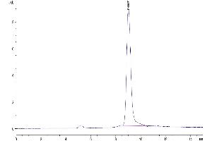 Size-exclusion chromatography-High Pressure Liquid Chromatography (SEC-HPLC) image for Prostate Stem Cell Antigen (PSCA) (AA 21-95) protein (His tag) (ABIN7275413)