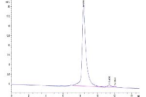 The purity of Biotinylated Cynomolgus Siglec-15 is greater than 95 % as determined by SEC-HPLC. (SIGLEC15 Protein (AA 60-322) (His-Avi Tag,Biotin))