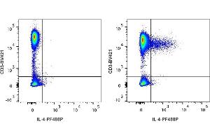 Detection of IL-4 by flow cytometry in viable human lymphocytes. (IL-4 抗体  (PromoFluor-488 Premium))