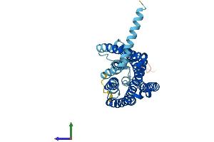 Protein Structure (PS) image for Olfactory Receptor, Family 2, Subfamily W, Member 1 (OR2W1) (AA 1-320) protein (His tag) (ABIN7550371)