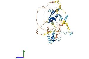AlphaFold protein structure predicition of Human Recombinant REC8 Protein, UniprotID O95072