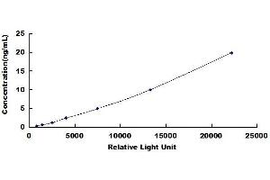Typical standard curve
