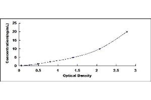 Typical standard curve (ATP1A1 ELISA 试剂盒)