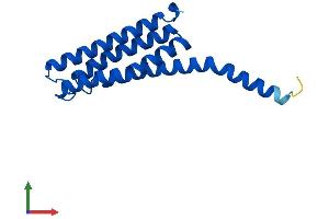 AlphaFold protein structure predicition of Human Recombinant LTC4S Protein, UniprotID Q16873