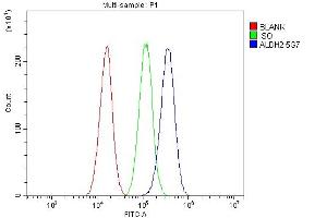 Flow Cytometry analysis of A549 cells using anti-ALDH2 antibody (ABIN7603107). (ALDH2 抗体  (N-Term))