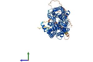Protein Structure (PS) image for Spinster Homolog 2 (SPNS2) (AA 1-549) protein (His tag) (ABIN7555634)